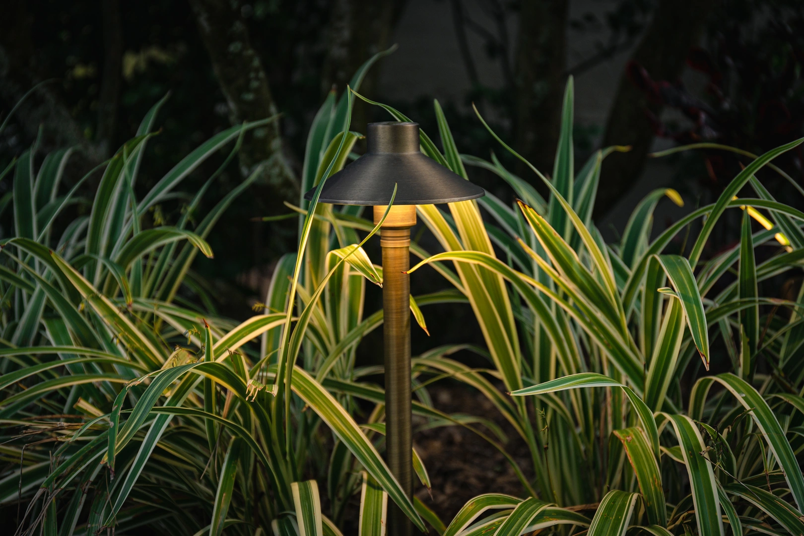 Professional landscape lighting fixtures